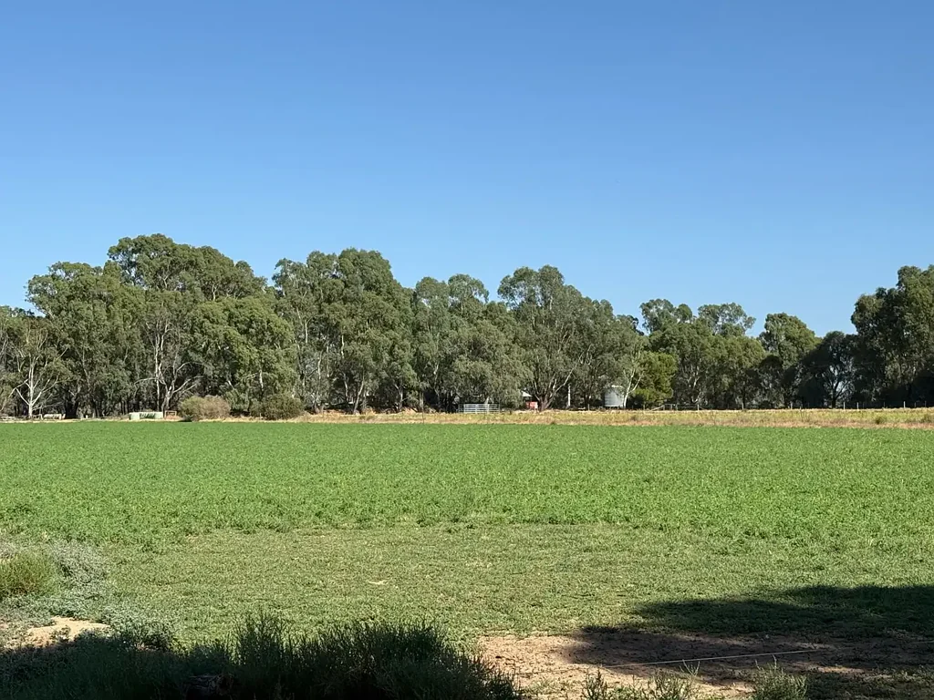 Koondrook OUTSTANDING KOONDROOK LIFESTYLE PROPERTY WITH INCOME POTENTIAL