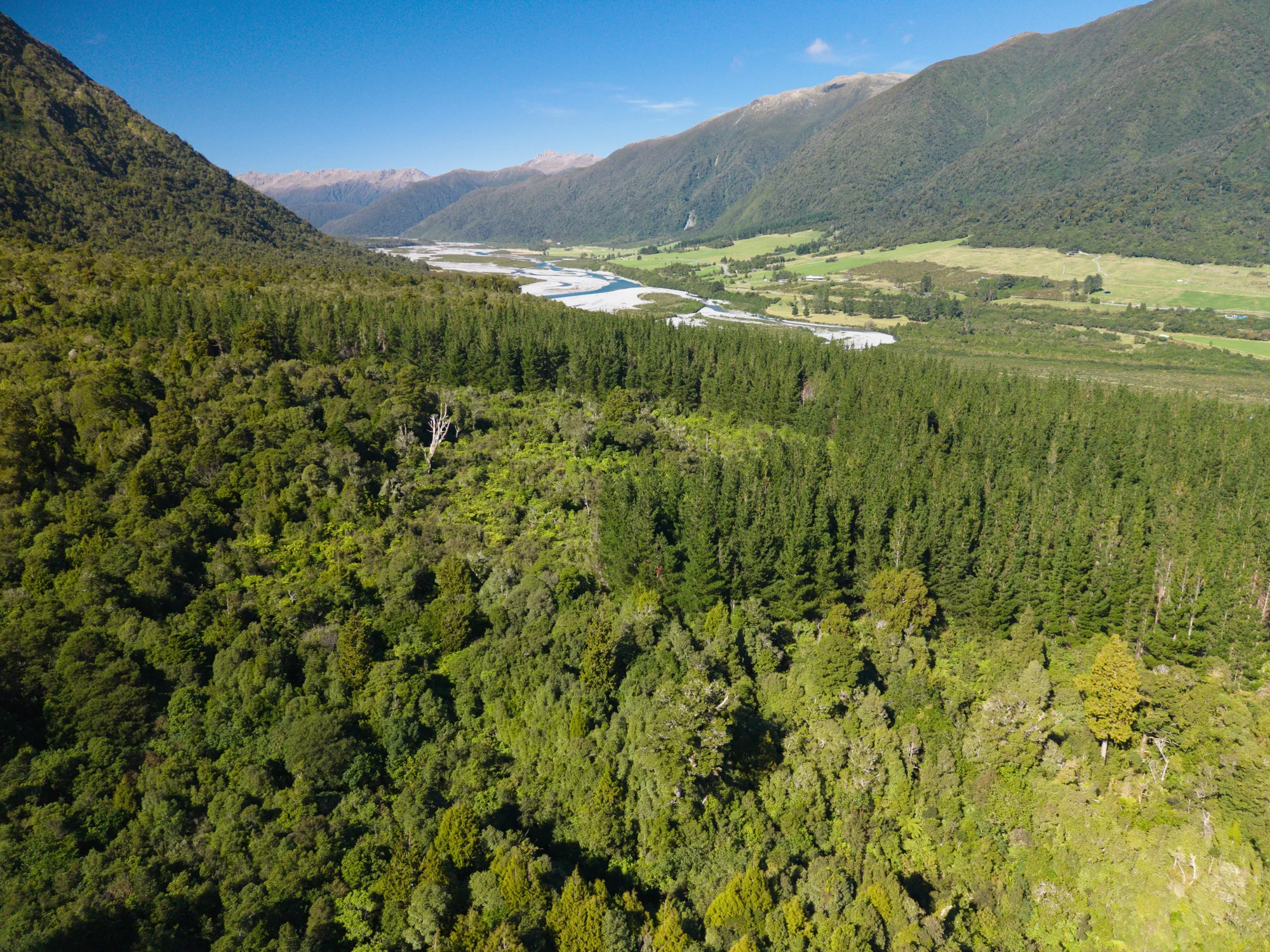 Moana / Lake Brunner  A Rare West Coast Sanctuary of Opportunity