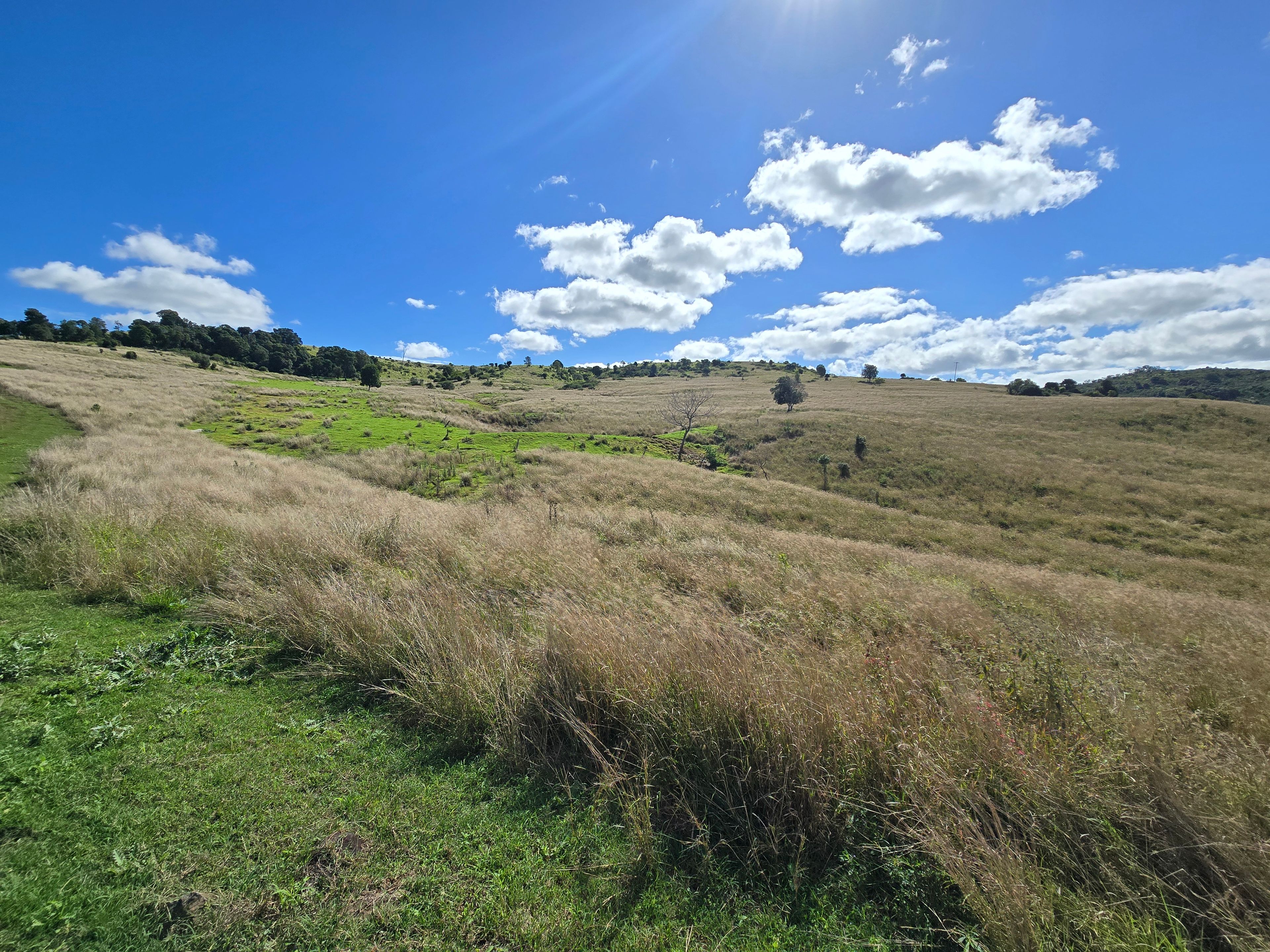 80 MACDIARMIDS RD, KOORALGIN QLD 4402, 0 રૂમ, 0 બાથરૂમ, Lifestyle Property