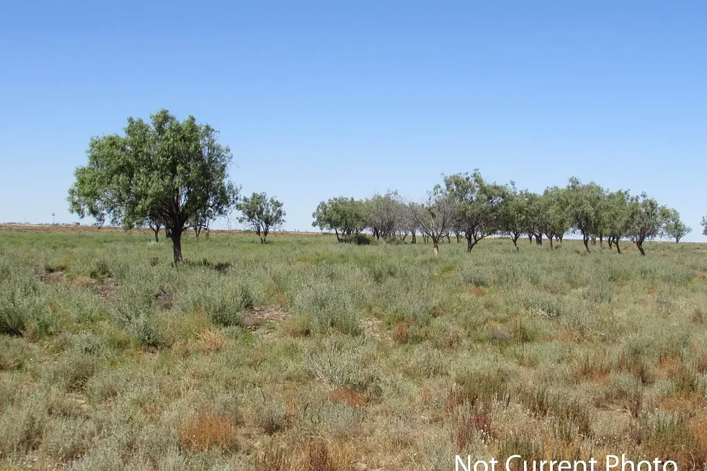 Brewarrina Excellent breeding and fattening & wool growing country