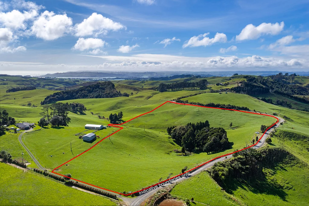 Raglan 8 hectares – bare land
