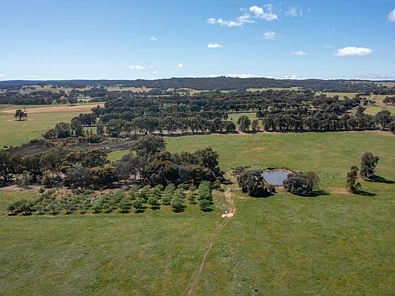 00 Cluggs Road, Springhurst, VIC 3682, 0 Bedrooms, 0 Bathrooms, Lifestyle Property