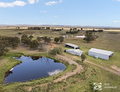 569 Wongoni Road, Dunedoo, NSW 2844, 0部屋, 0バスルーム, Lifestyle Property