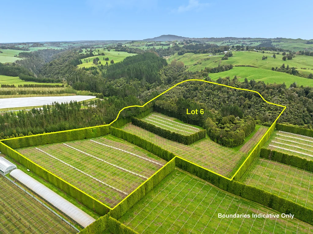 Te Puke The last one standing