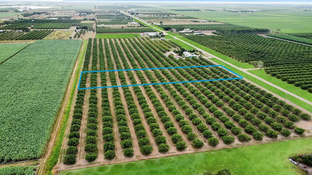 Horseshoe Lagoon 5 Acres of Mangoes
