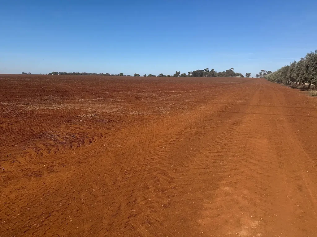 Nanneella 308 Acres (125 Ha) - Prime Cambrian Soils