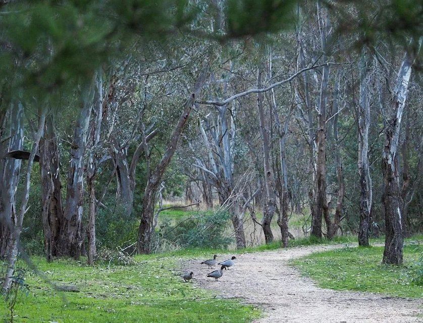 LOT 11/60 Caldwell Street, Heathcote, Wangaratta, 0房, 0浴, Section