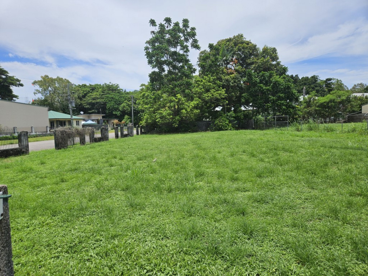 13 GORT ST, INGHAM QLD 4850, 0房, 0浴, Section