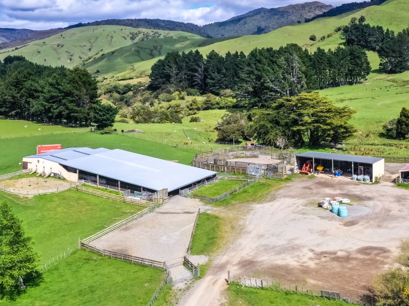 1091 Kopikopiko Road, Eketahuna, Tararua, 0 rūma, 0 rūma horoi