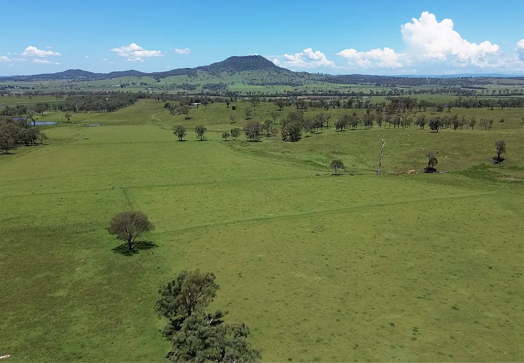 Mount Walker West High Carrying Capacity Grazing Country on 3 Titles 560 Acres+