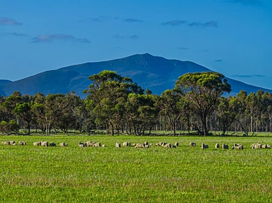 712 View Range Road, Kendenup, WA 6323, 4 slaapkamers, 1 badkamers, Lifestyle Property