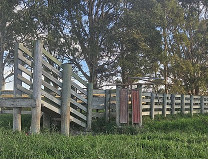 - Dunrobin Road, Fuchsia Creek, Waitaki, 0 chambres, 0 salles de bain, Lifestyle Section