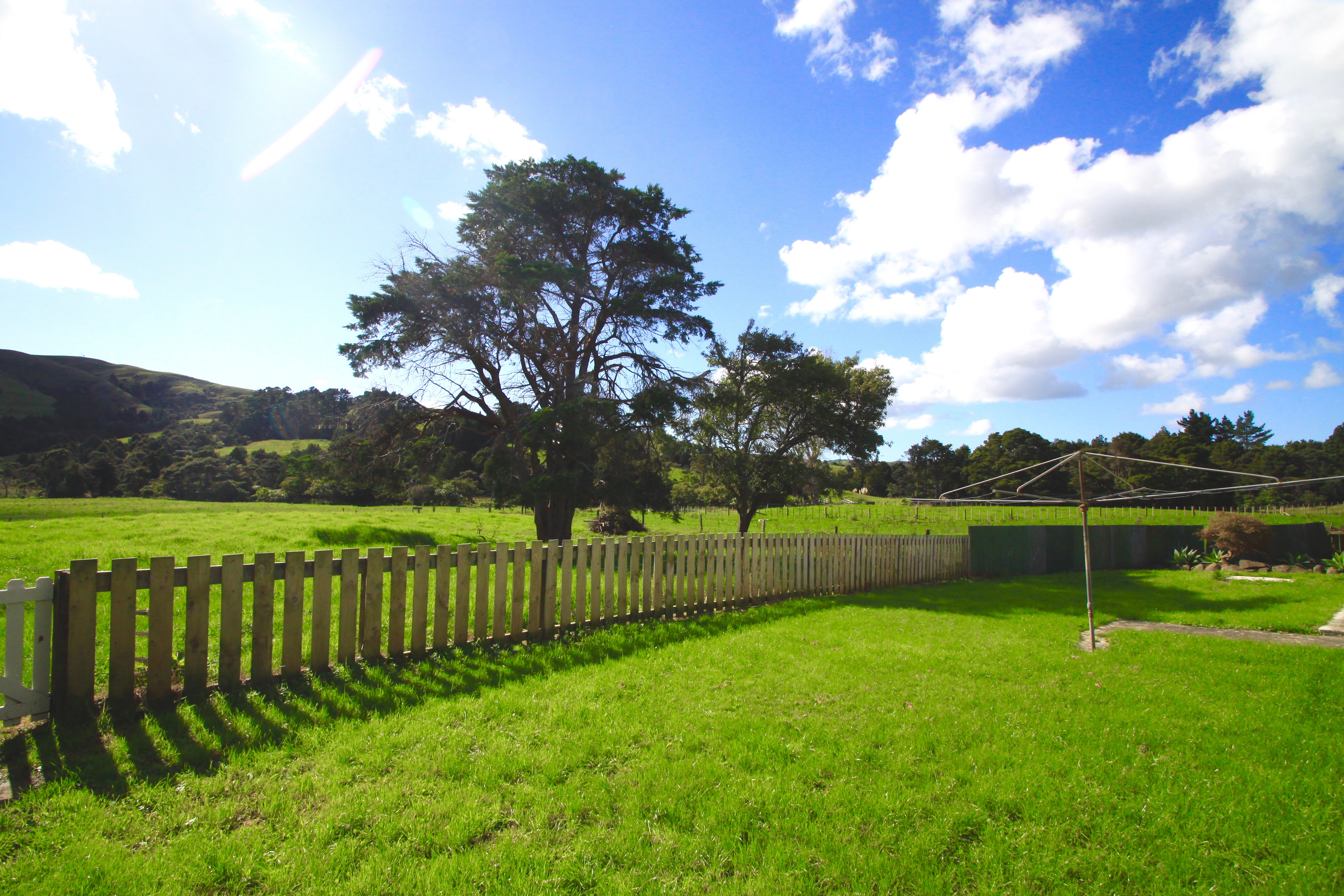 1313 Whangaripo Valley Road, Whangaripo, Auckland - Rodney, 3 ਕਮਰੇ, 1 ਬਾਥਰੂਮ