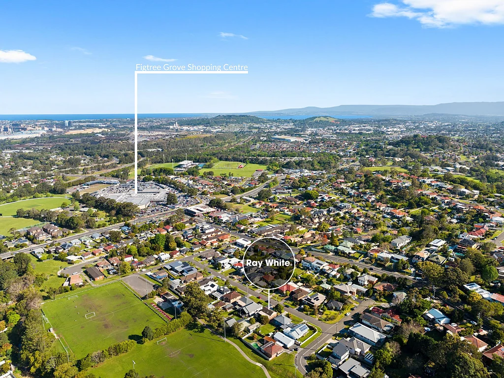 5 Karbo Street, Figtree, NSW 2525