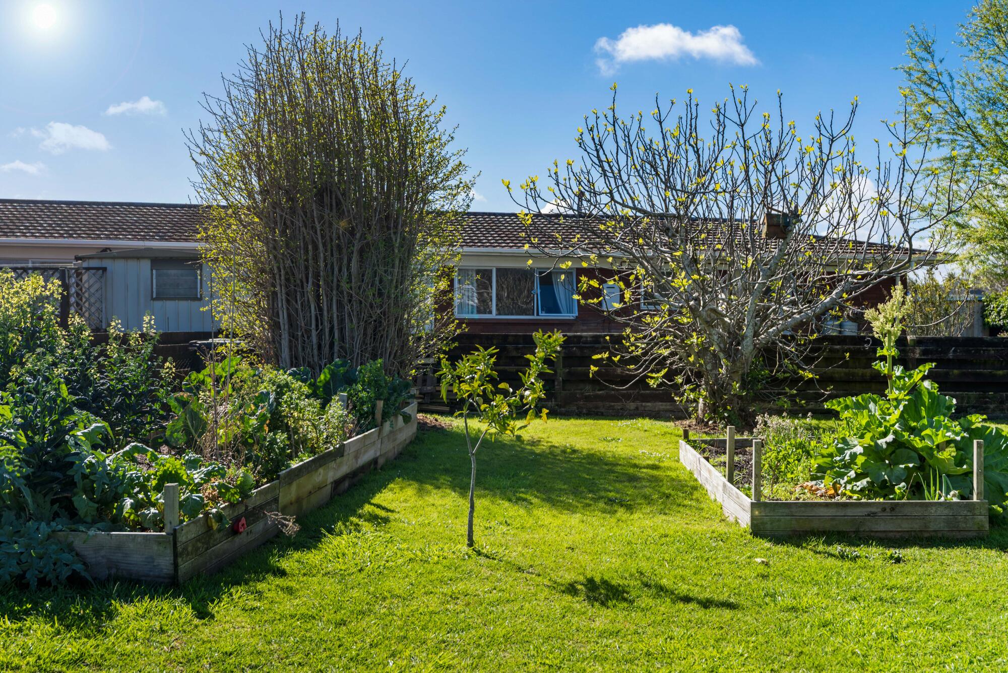 30 Domain Street, Waiuku, photo 9