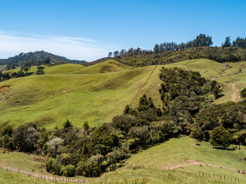 375 Kaimarama Road, Kaimarama, Coromandel, 0 rūma, 0 rūma horoi