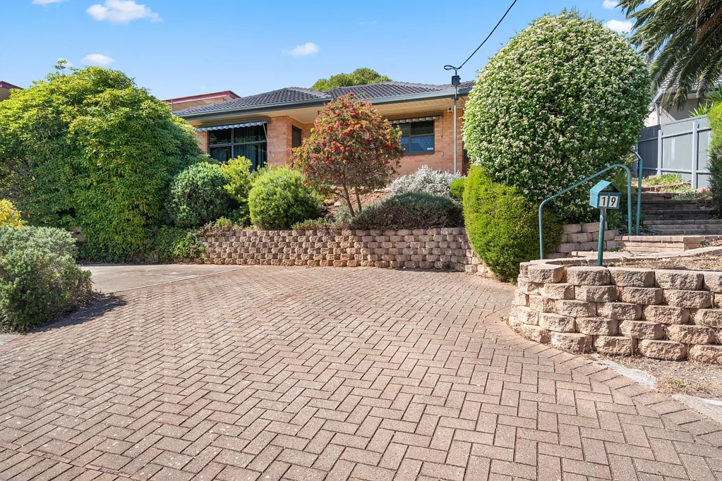 19 Morgan Avenue, Seaview Downs, SA 5049