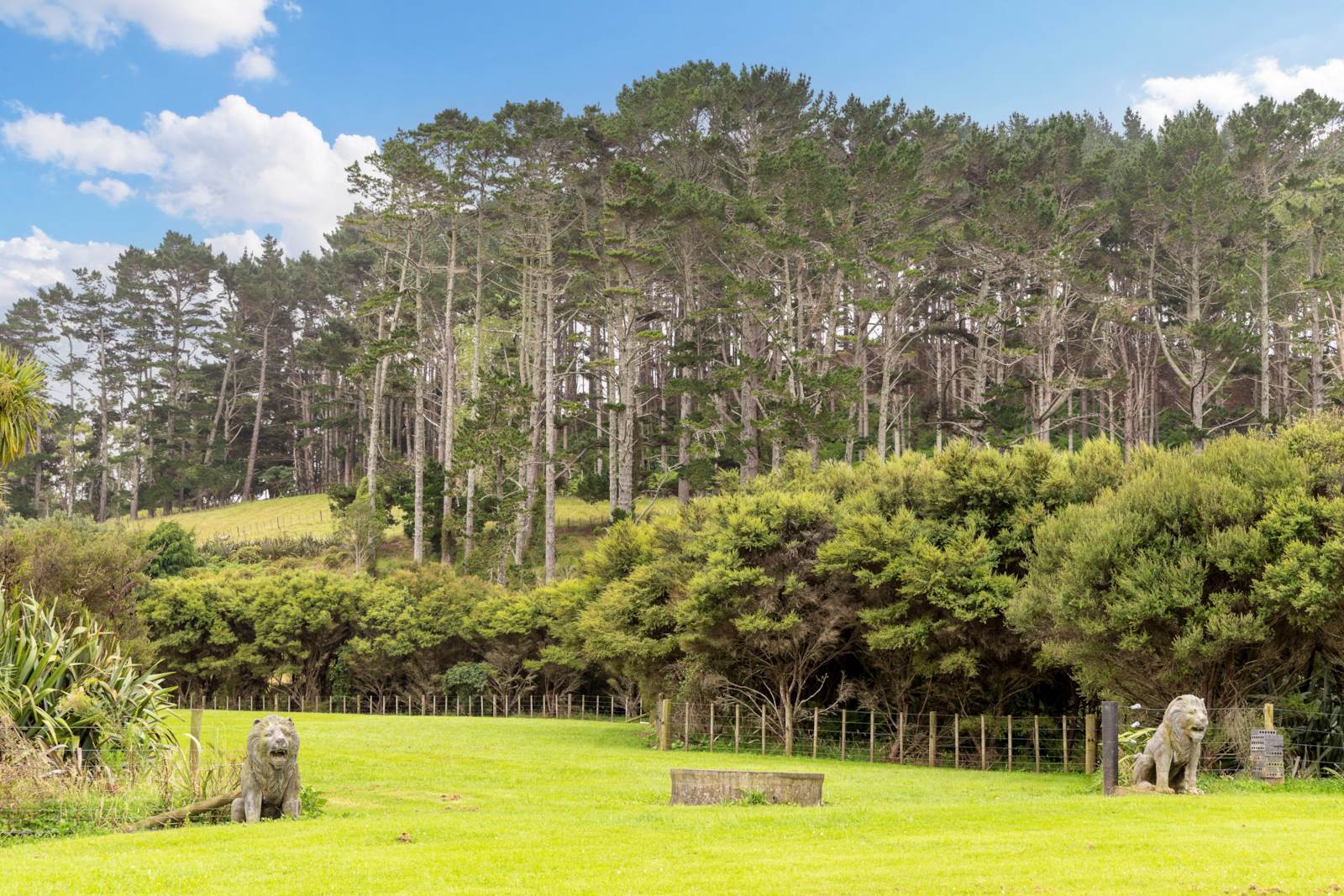 121 Valley Road, Waimauku, Auckland - Rodney, 4 રૂમ, 0 બાથરૂમ