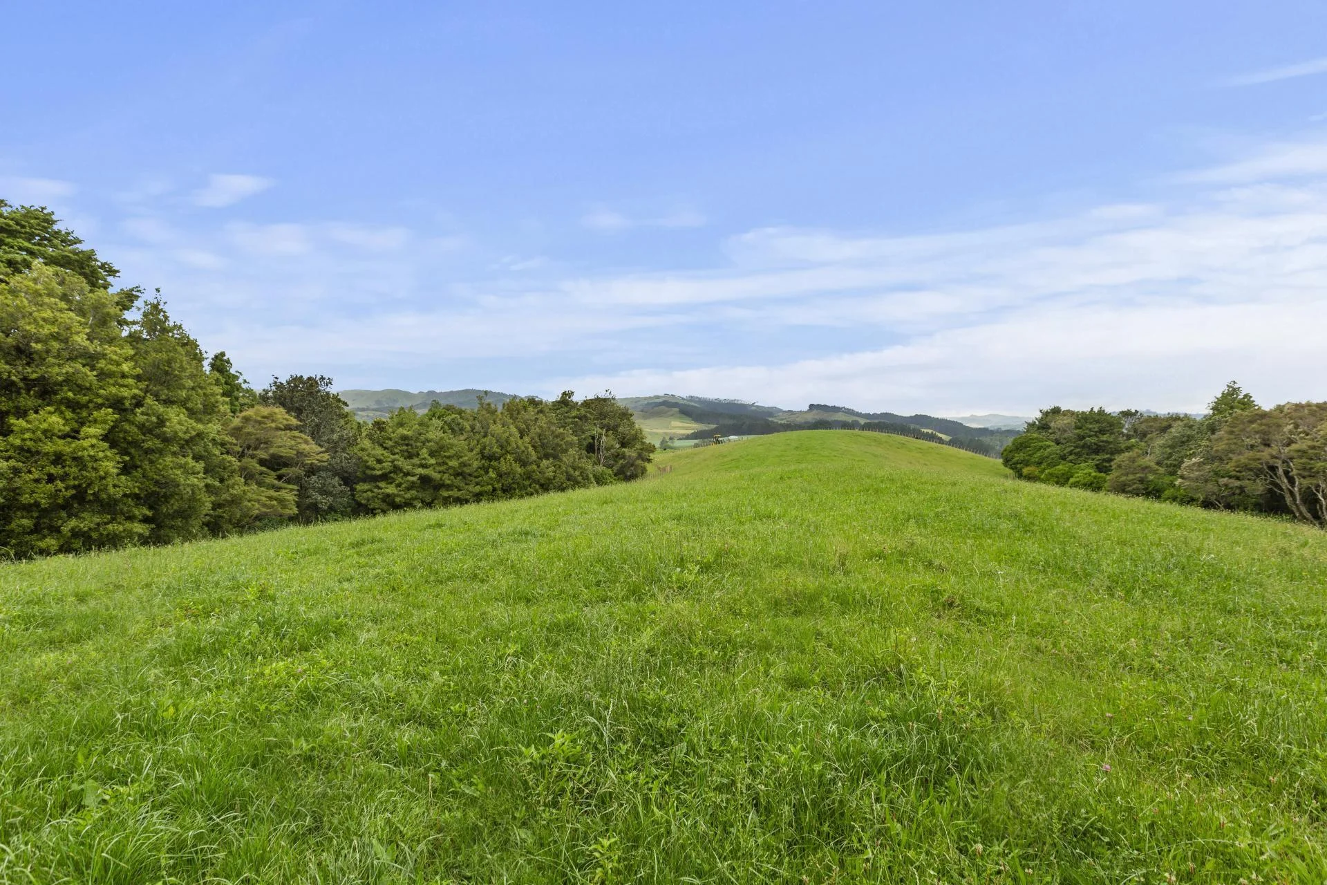 201 Checkley Road, Raglan, Waikato, 0 Bedrooms, 0 Bathrooms, Section