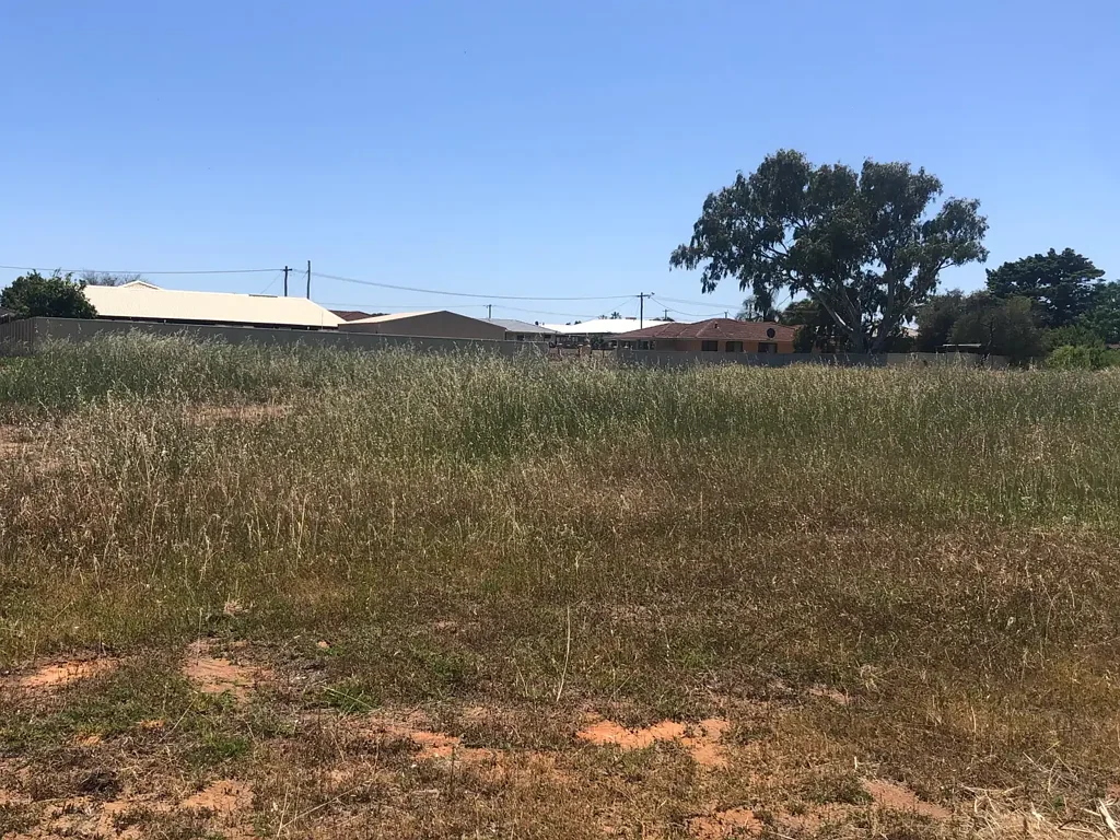 5 Callistemon Court, Utakarra, WA 6530