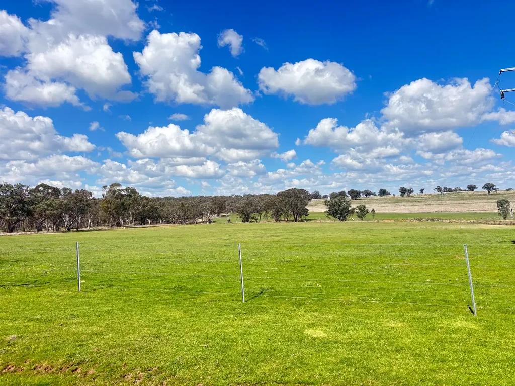 Weetaliba "Cawoola" - Substantial Mixed Farming & Grazing!