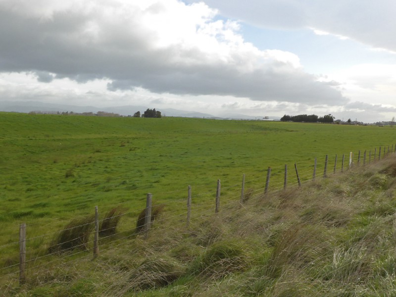 Lake Ferry Road, Dyerville, South Wairarapa, 0 ਕਮਰੇ, 0 ਬਾਥਰੂਮ