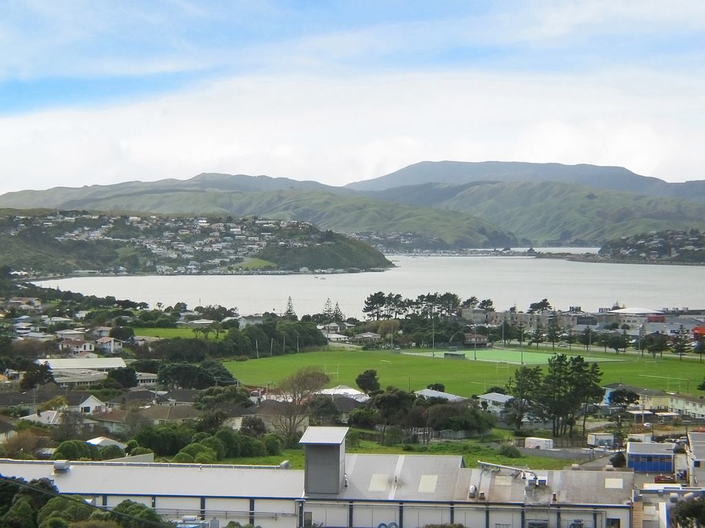 29 Waiho Terrace, Elsdon, Porirua, 3 rūma, 1 rūma horoi