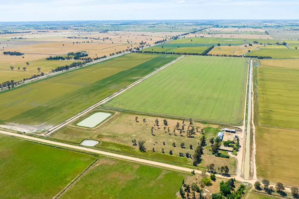 Tocumwal 2x HIGHLY PRODUCTIVE IRRIGATION & CROPPING PROPERTIES TOCUMWAL NSW 2714 – 1,518 Acres / 614.5 Hectares*