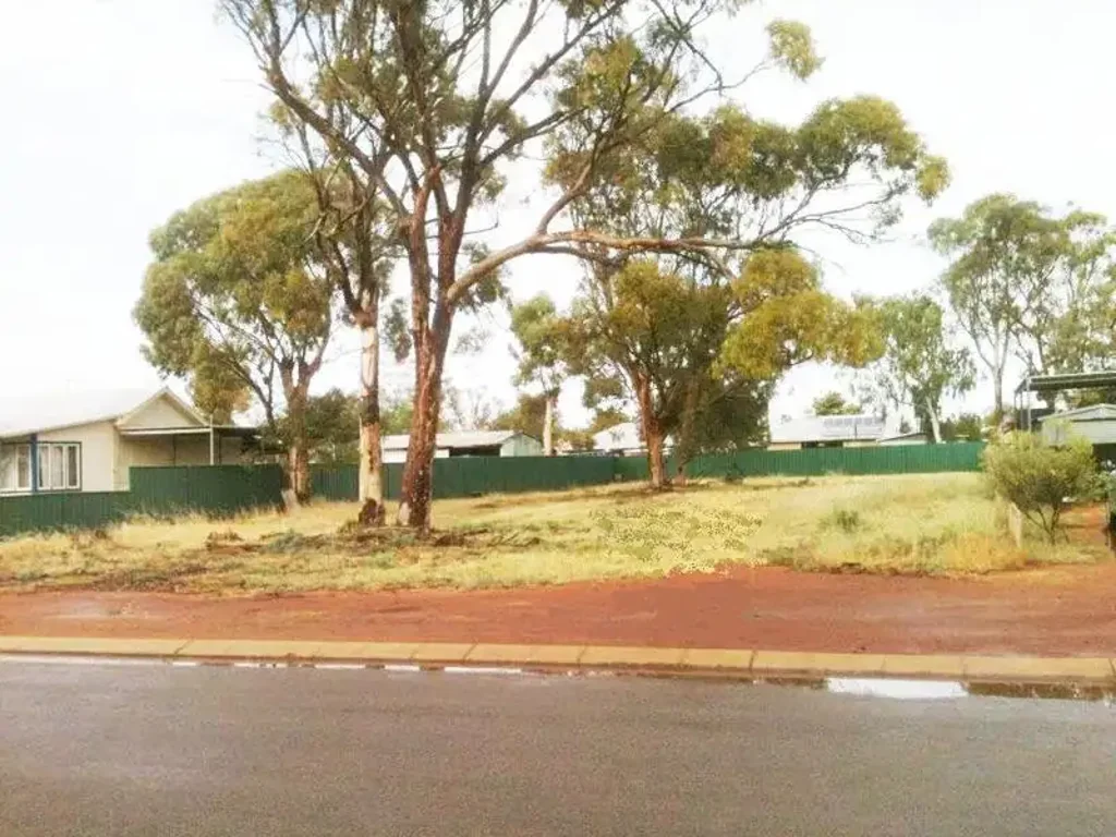 LOT 183/60 Carter Street, Three Springs, WA 6519
