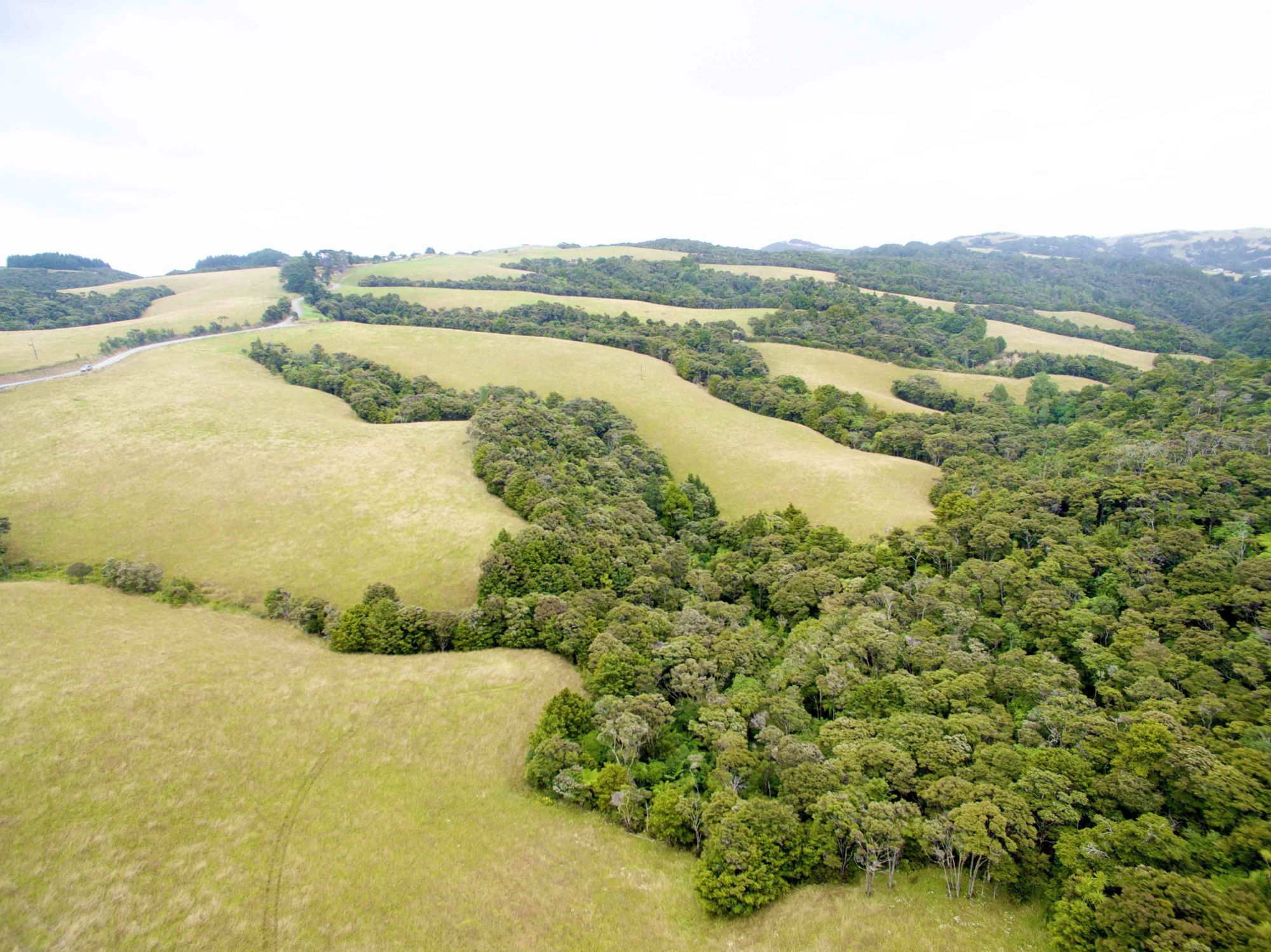 876 Waipu Caves Road, Waipu, Whangarei, 0 રૂમ, 0 બાથરૂમ