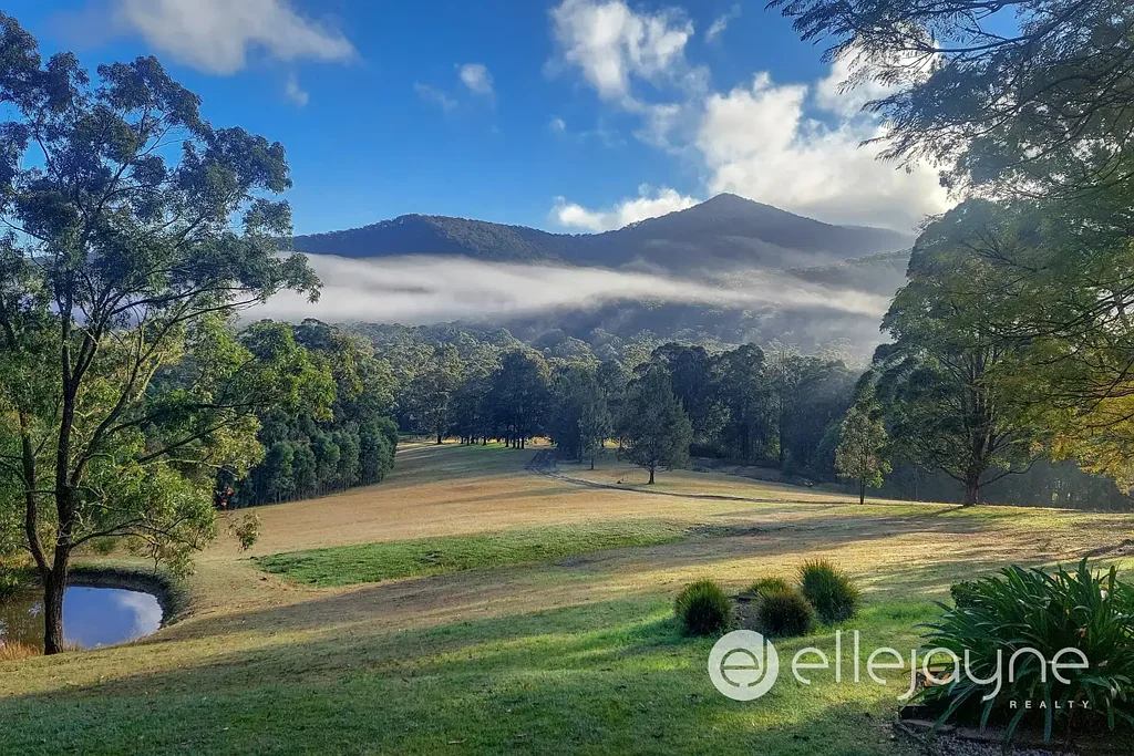 Brunkerville 4Kwarto CHARMING SINGLE-LEVEL HOMESTEAD ON 21.97 ACRES WITH MAGIC ELEVATED VIEWS OF SUGARLOAF CONSERVATION AREA - BRUNKERVILLE