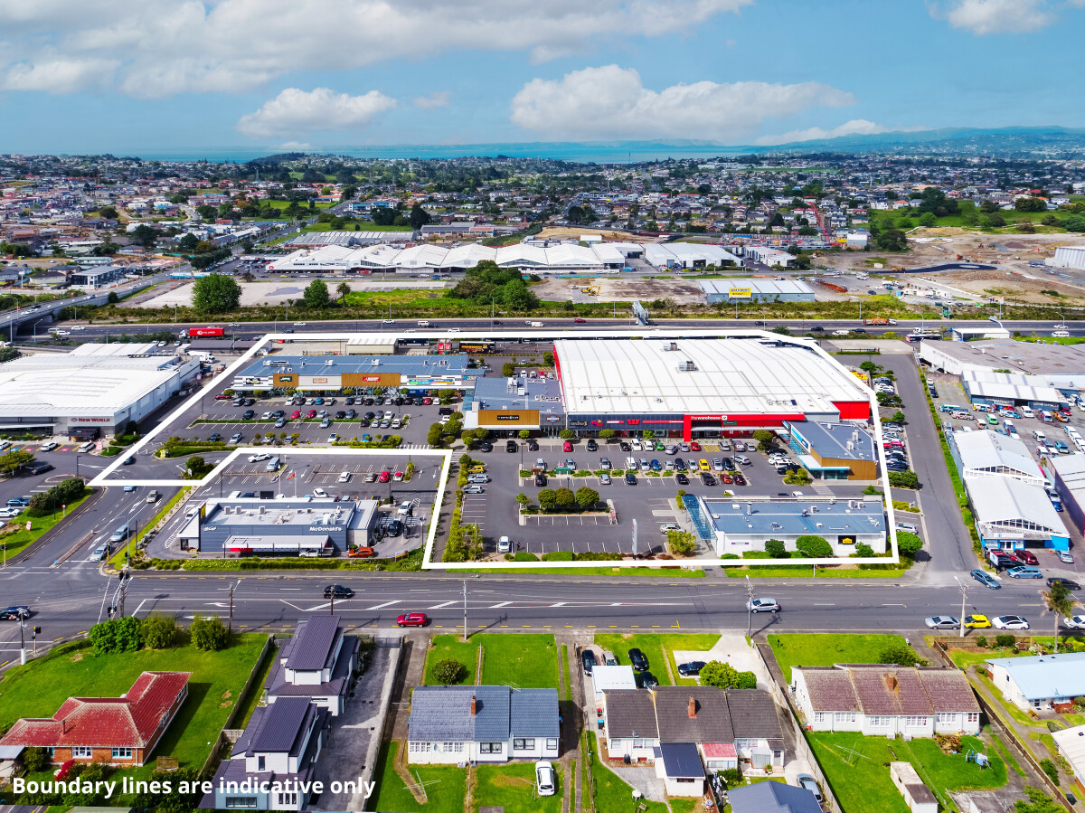 22 Stoddard Road, Wesley, Auckland, 0房, 0浴