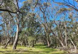 LOT 96 Jumping Creek Lane, Greenlands