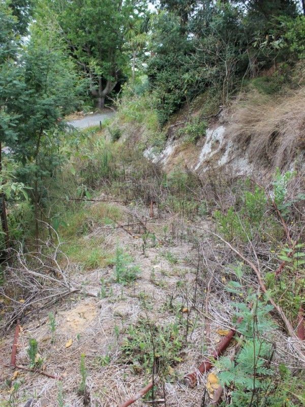 124 Pouto Road, Dargaville, Kaipara, 0 રૂમ, 0 બાથરૂમ