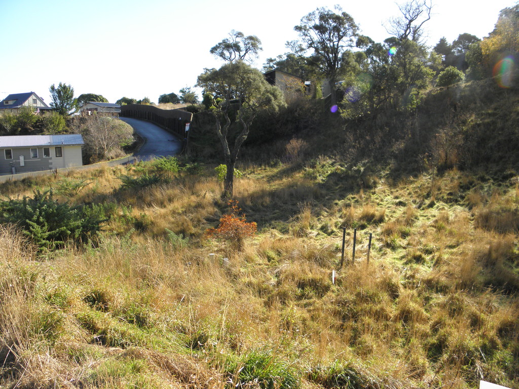 19 Tenby Street, Moeraki, Waitaki, 0房, 0浴