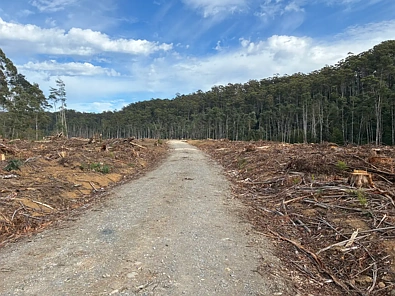 . Calder Road, Calder, TAS 7325, 0 slaapkamers, 0 badkamers, Lifestyle Property