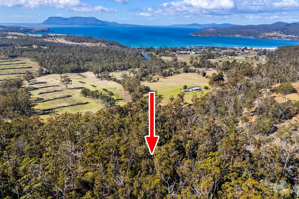 Orford Bushland Retreat