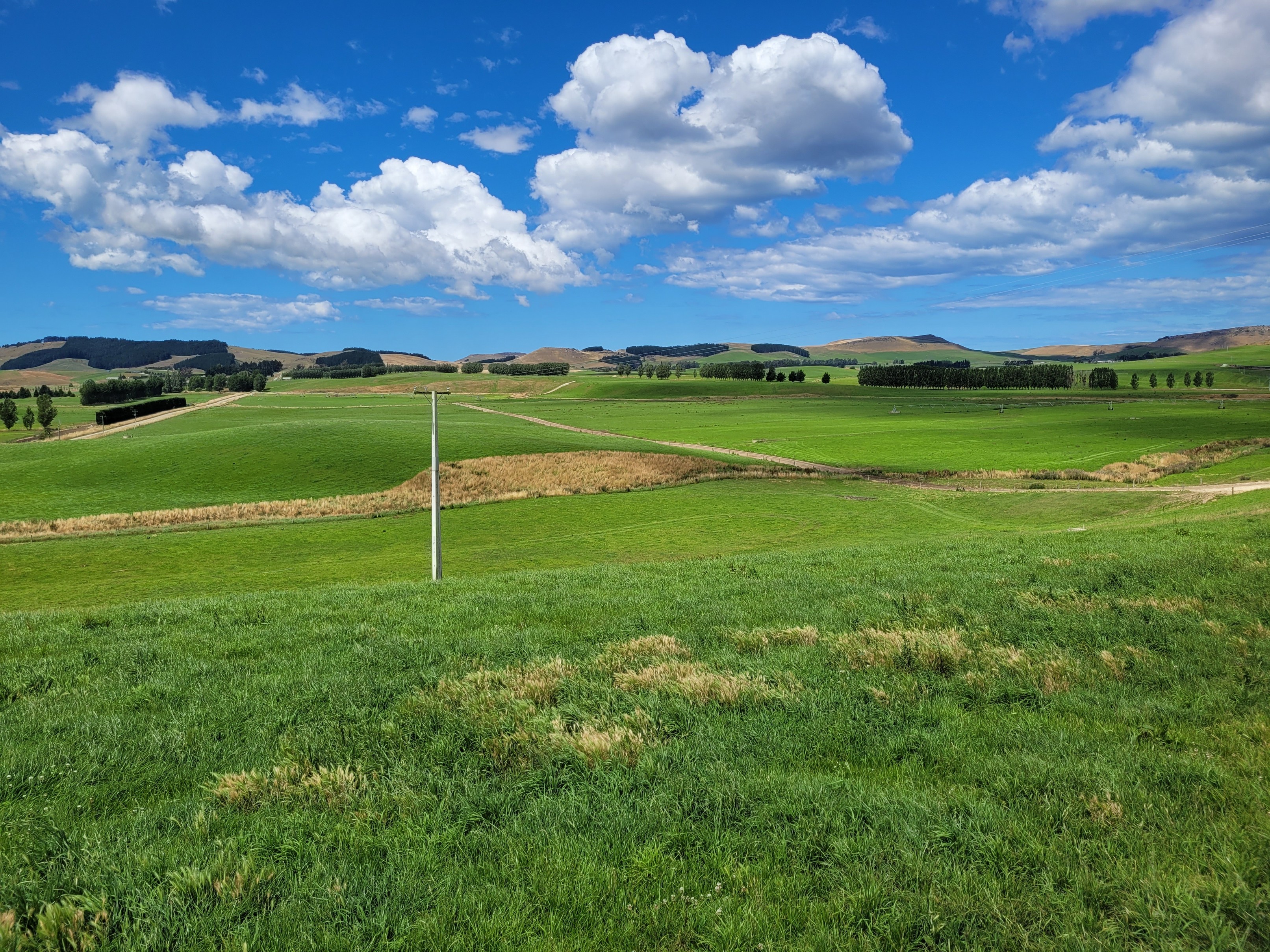 2 Tussocky Road, Enfield and Surrounds, Waitaki, 0 chambres, 0 salles de bain, Dairy