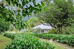 3294 Nerang Murwillumbah Road, Natural Bridge