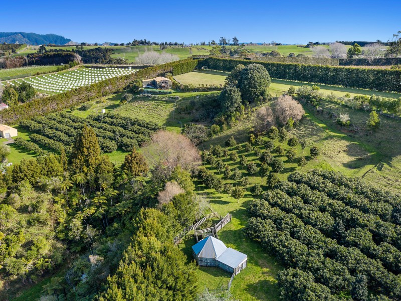 333 Paerata Ridge Road, Opotiki and Surrounds, Opotiki, 4 ਕਮਰੇ, 0 ਬਾਥਰੂਮ