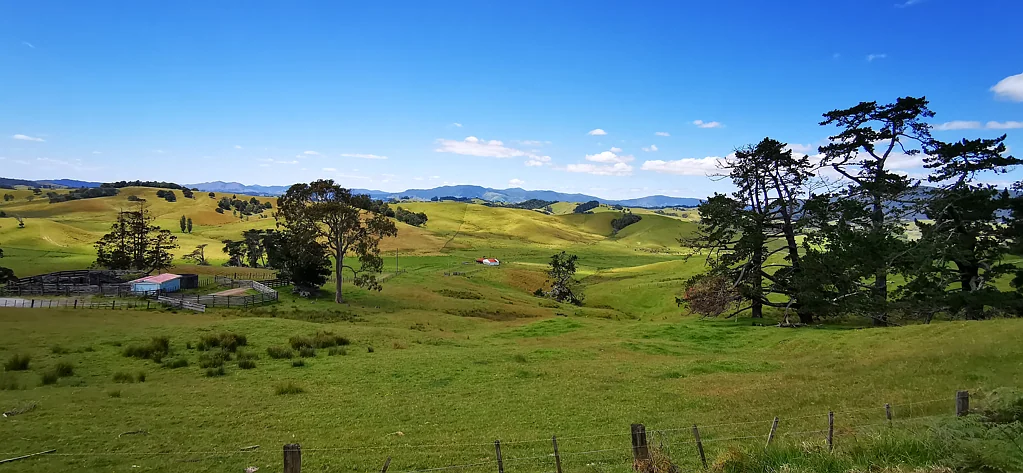 Kaitaia Entry Level Farmlet - 5 Minutes out of Town!