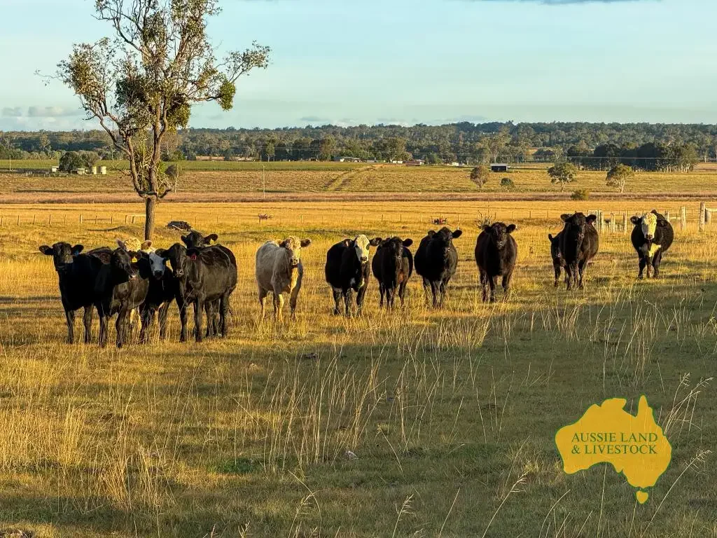 Kingaroy Rare as Hen's Teeth – 22.66ha (56 acres) on the edge of Kingaroy