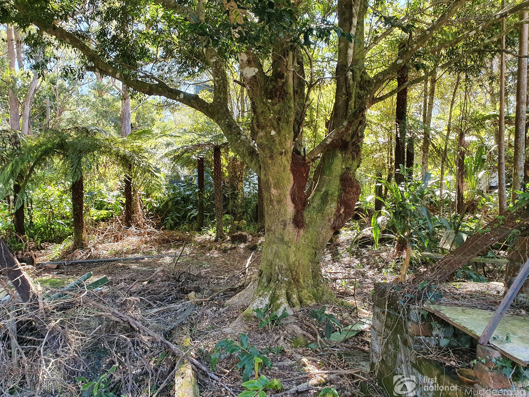 24 CANYON PDE, SPRINGBROOK QLD 4213, 0 rūma, 0 rūma horoi, Section