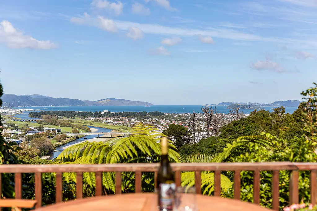 19 City View Grove, Harbour View, Lower Hutt, Wellington
