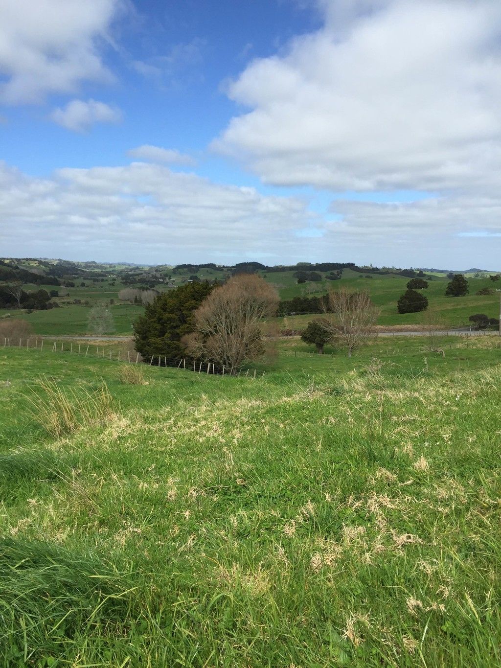 Hayward Road, Maungakaramea, Whangarei, 0 phòng ngủ, 0 phòng tắm