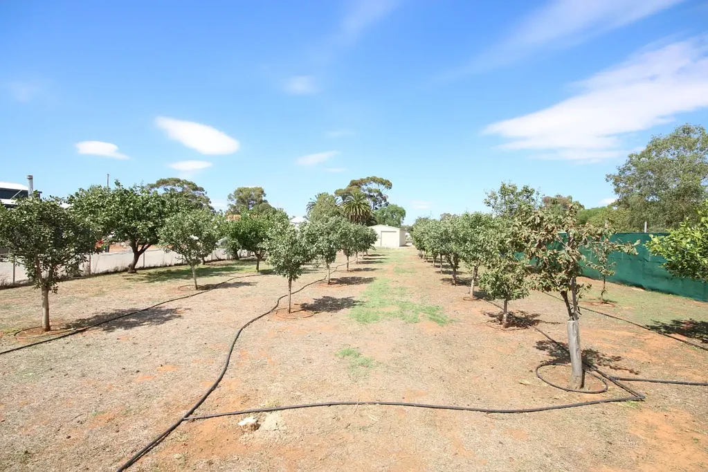 Corop 900m2 BLOCK WITH SHED, FRUIT TREES & GRAPEVINES