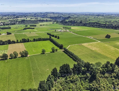 Generational Opportunities, Palmerston North, Manawatu, 0 침실, 0 욕실, Dairy