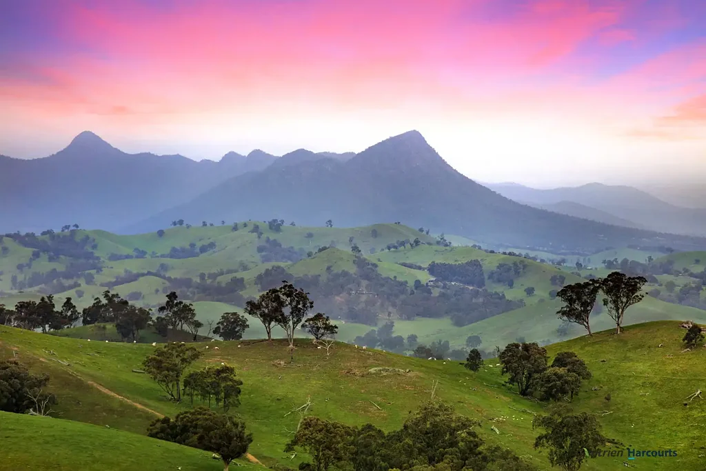Alexandra Rural Lifestyle Opportunity Awaits!