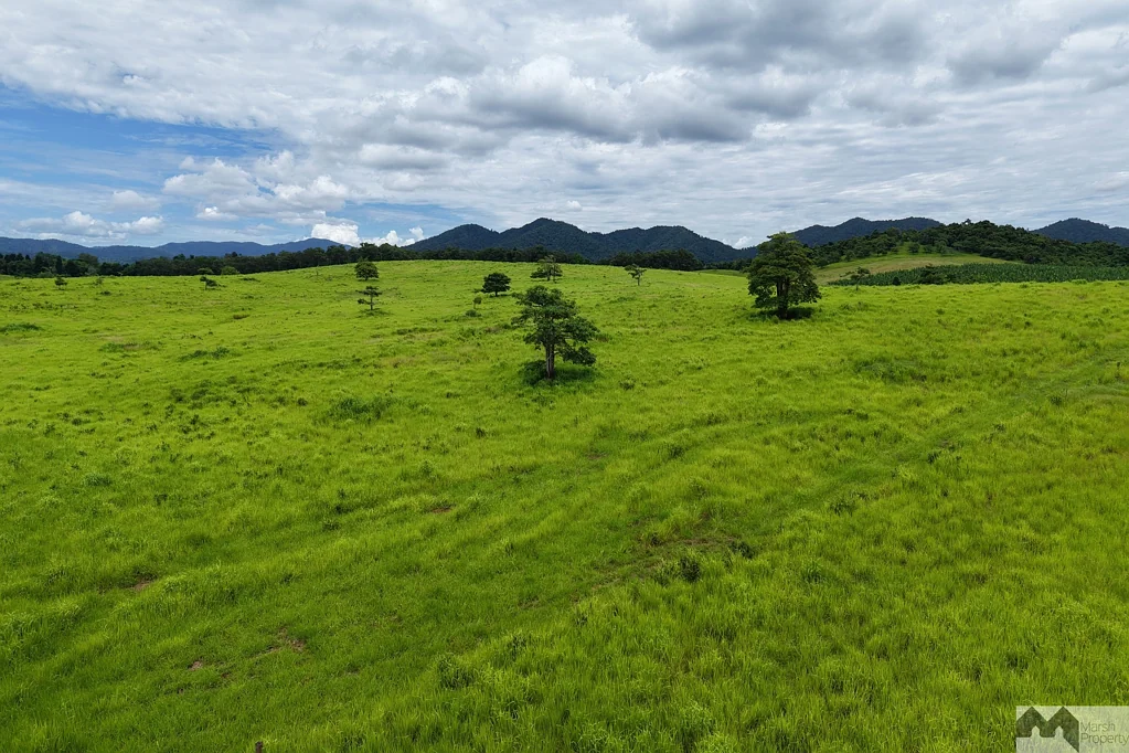 51 Booth Road, Utchee Creek, QLD 4871