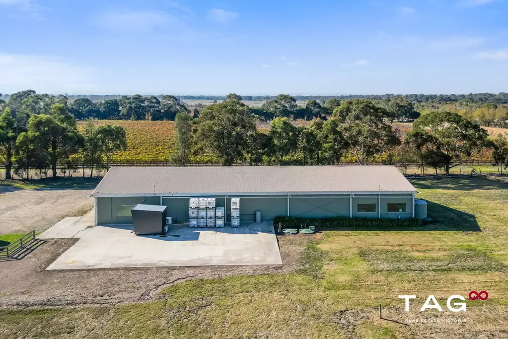 Bangholme Vineyard + 3 Homes + 41 Acres = Strategic Investment Opportunity